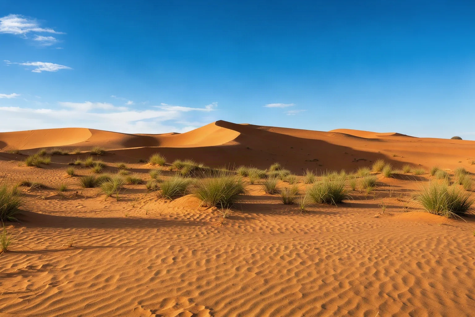 Dunes du désert australien au petit matin